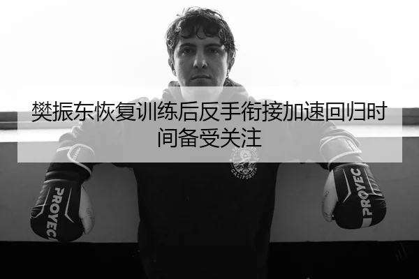 樊振东恢复训练后反手衔接加速回归时间备受关注 | kaiyun.comapp